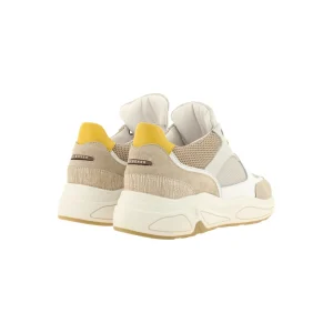 Sneaker Low*Bullboxer Sneaker Beige 295018E5C_Swbytd