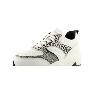Sneakers*Bullboxer Sneaker Multi Awj000E5L_Whbkkb